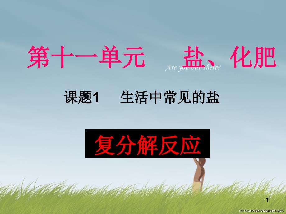 第1页
