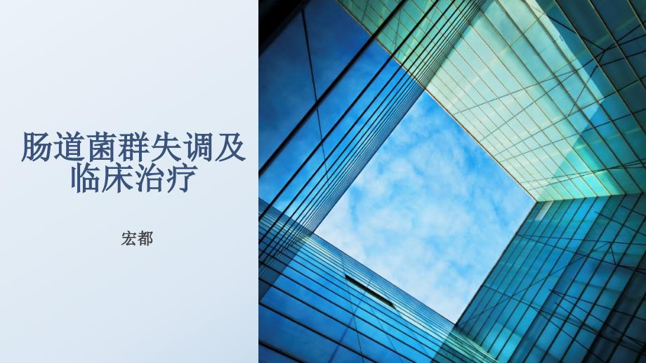 贝飞达产品介绍_第1页