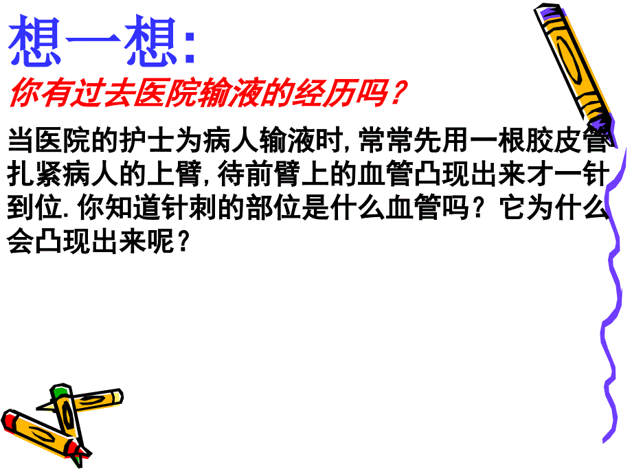 血流的管道血管_第1页
