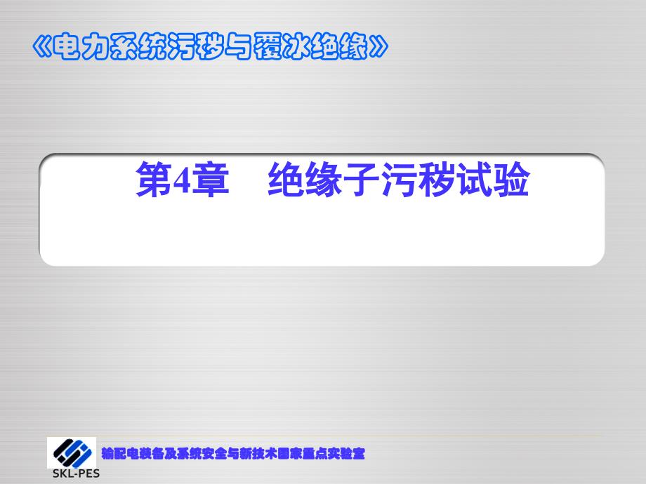 电力系统污秽与覆冰绝缘4_第1页