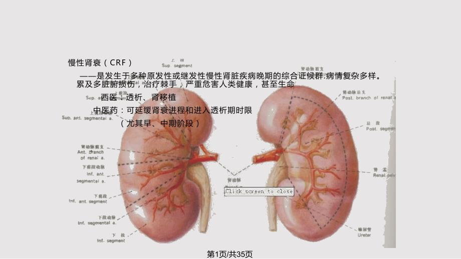 中医药延缓早中期慢肾衰临床路径心悟_第1页