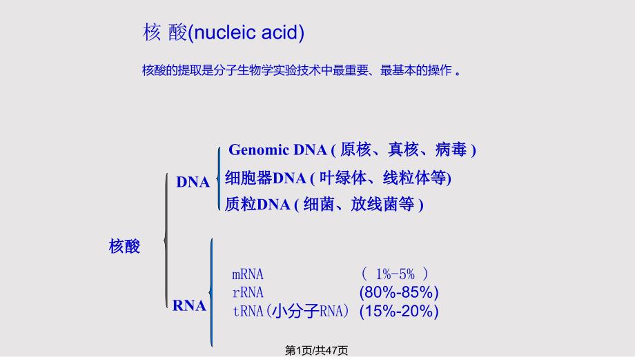dnaran琼脂糖凝胶电泳_第1页