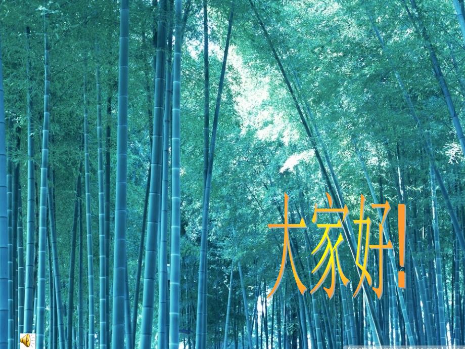 五年级上册观察物体_第1页