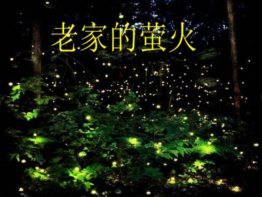 《老家的萤火》 (2)_第1页
