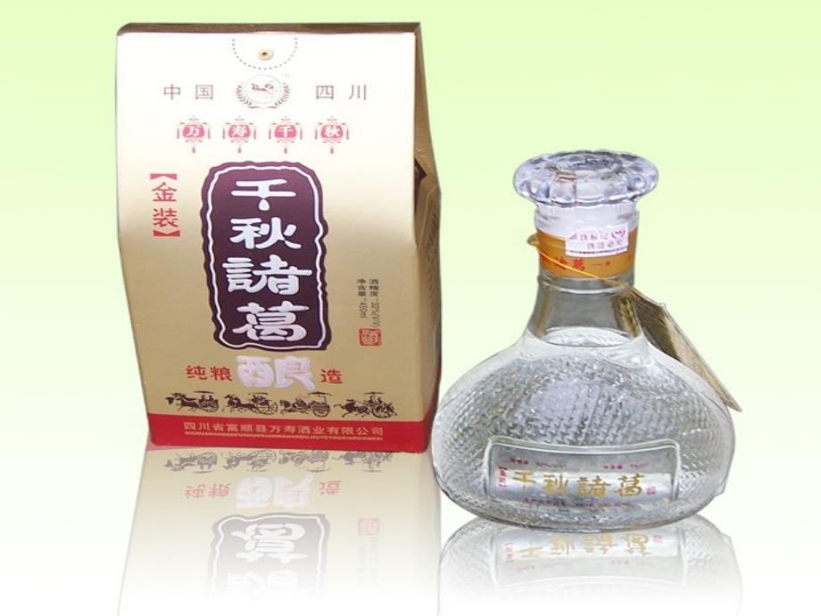 诸葛酿的营销方案_第1页