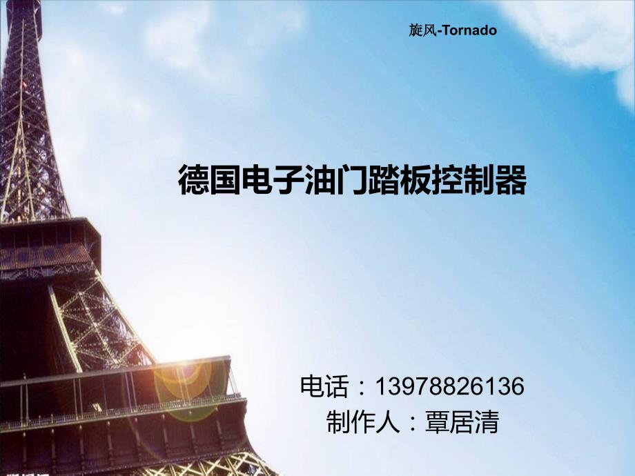 德国电子油门踏板_第1页