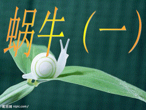 [其它課程]蝸牛一 小學(xué)科學(xué)
