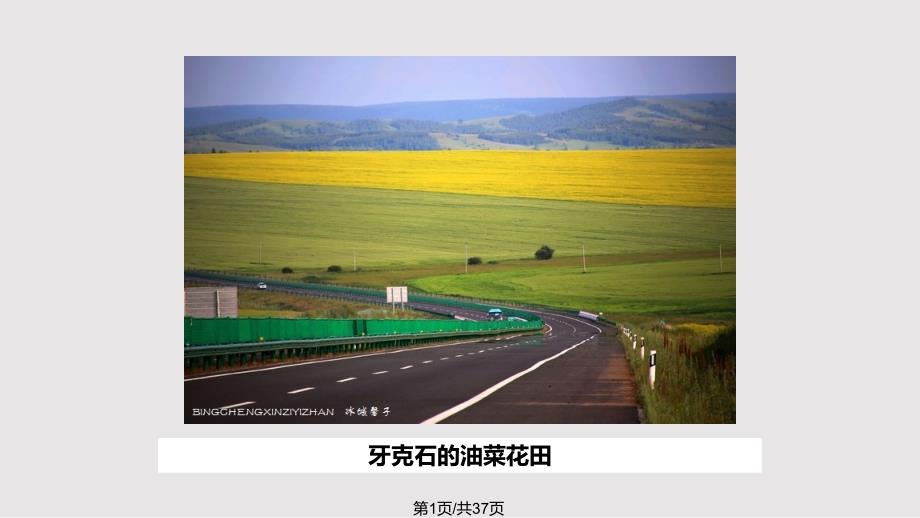 牙克石的油菜花田大草原_第1页