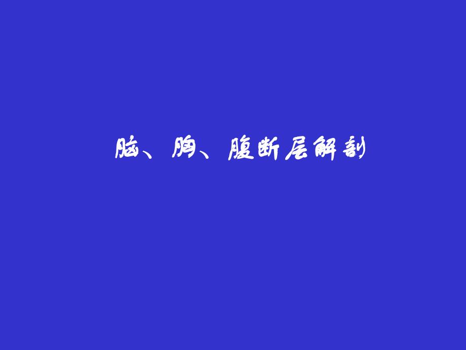 脑胸腹断层解剖PPT课件_第1页