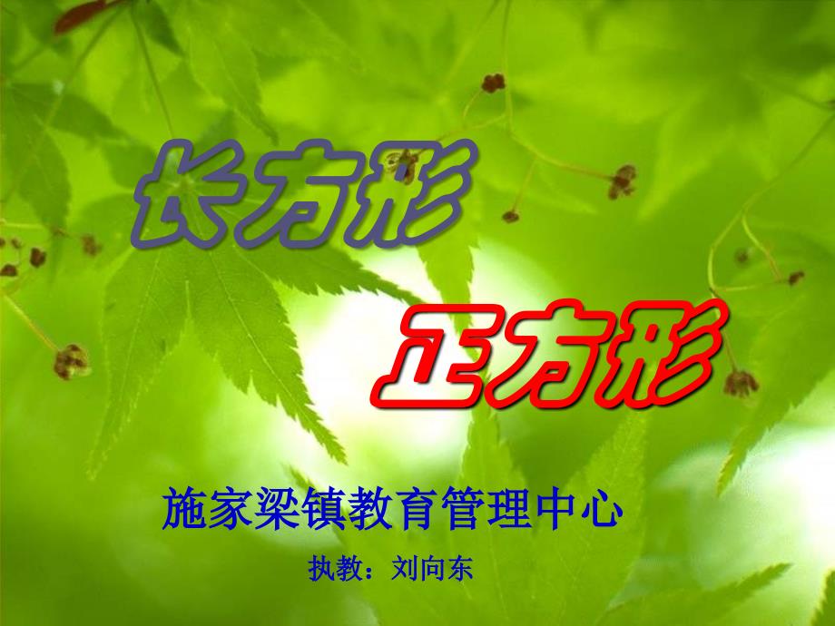 192l刘向东长正方形的认识二下_第1页