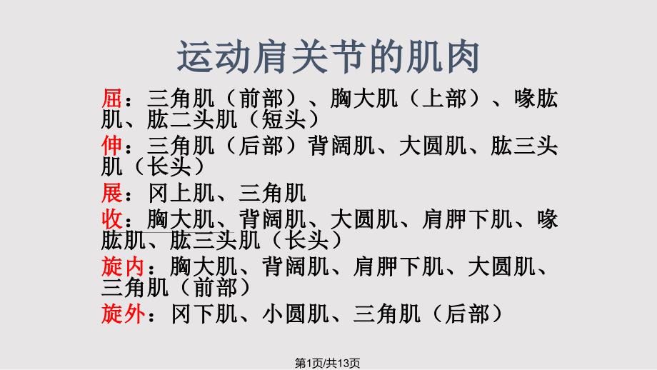 运动系统解剖运动肩关节肌肉_第1页