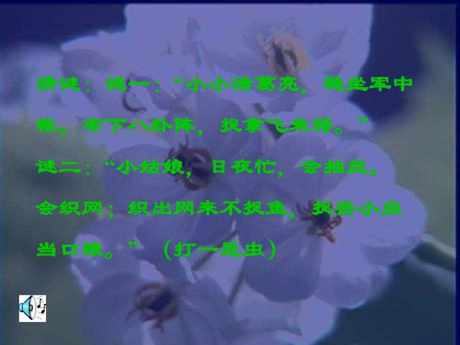 《绿色蝈蝈》教学课件要点_第1页