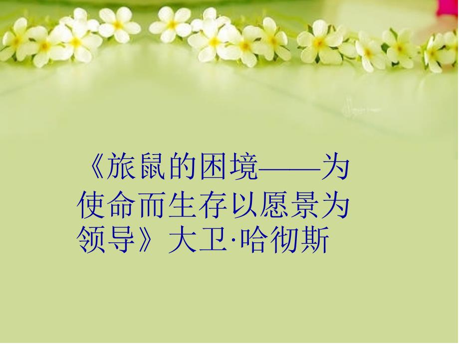 旅鼠的困境为使命而生存以愿景为领导大卫哈彻斯教学内容_第1页