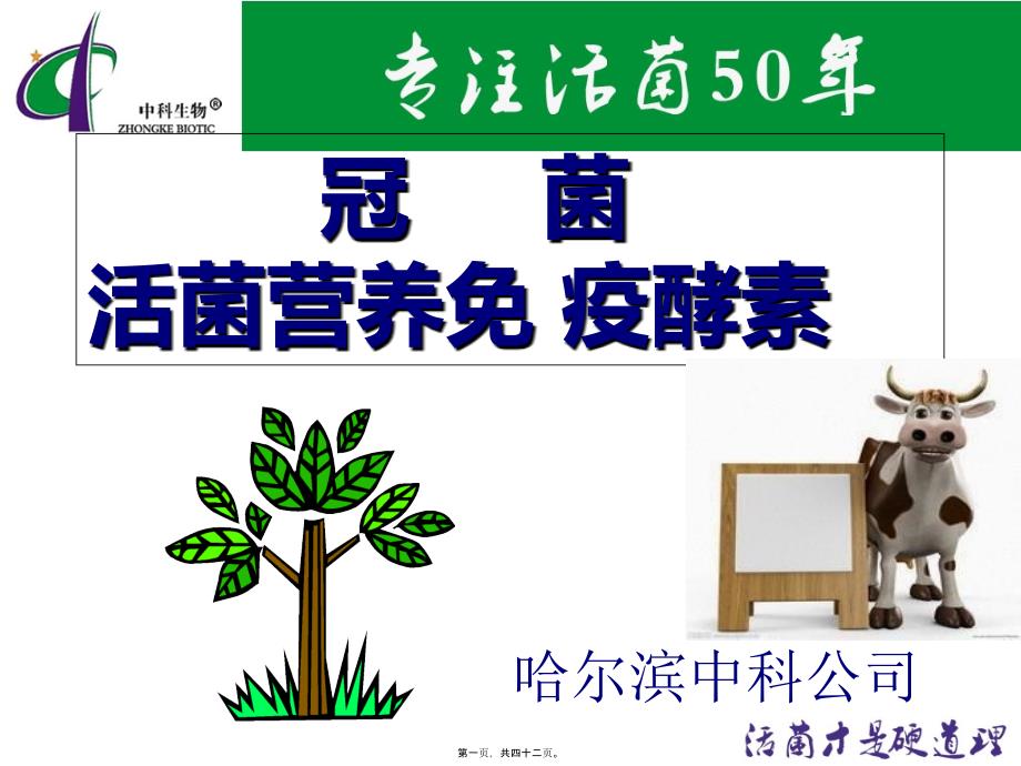 冠菌-活菌营养免疫酵素反刍兽介绍4079_第1页