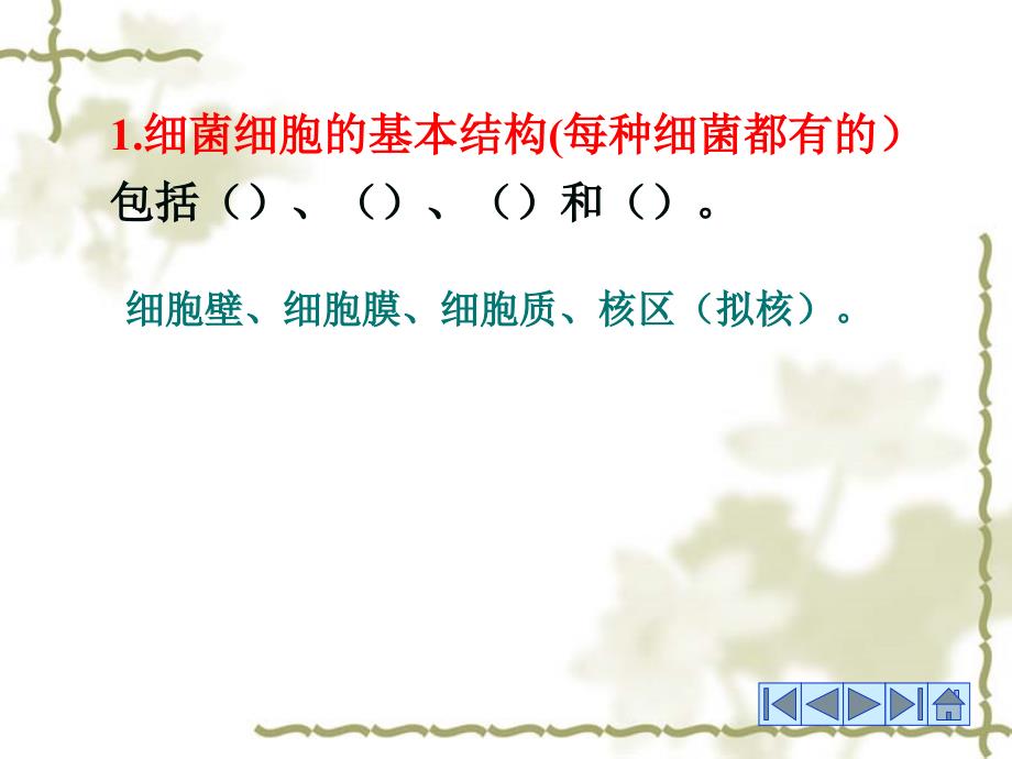 芽孢和放线菌_第1页