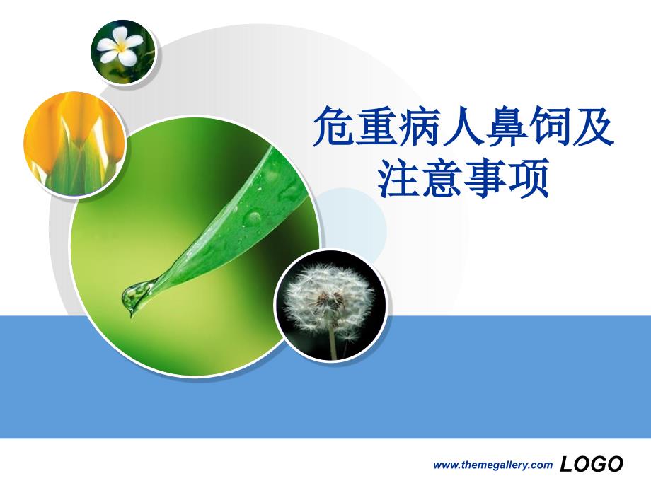危重病人鼻饲及注意事项_第1页