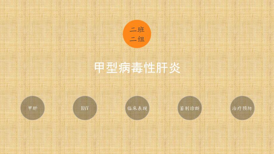 甲肝病毒介绍_第1页
