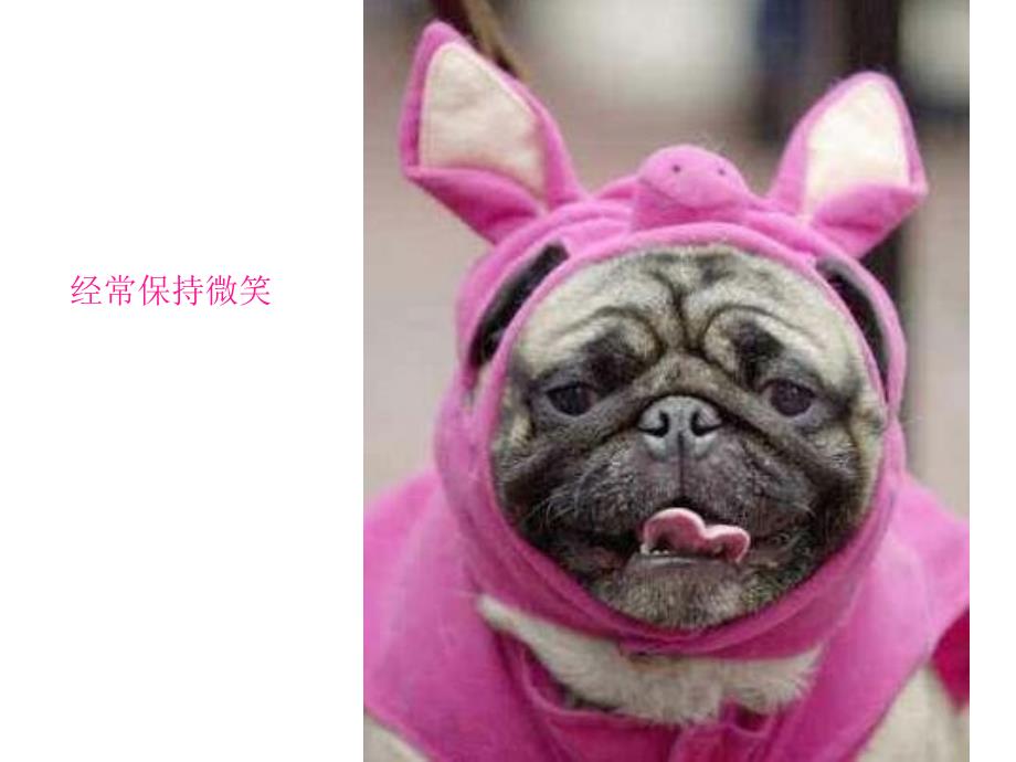 开心时刻笑晕的图片_第1页