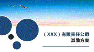 XX有限責(zé)任公司股權(quán)激勵方案-2017.04.14