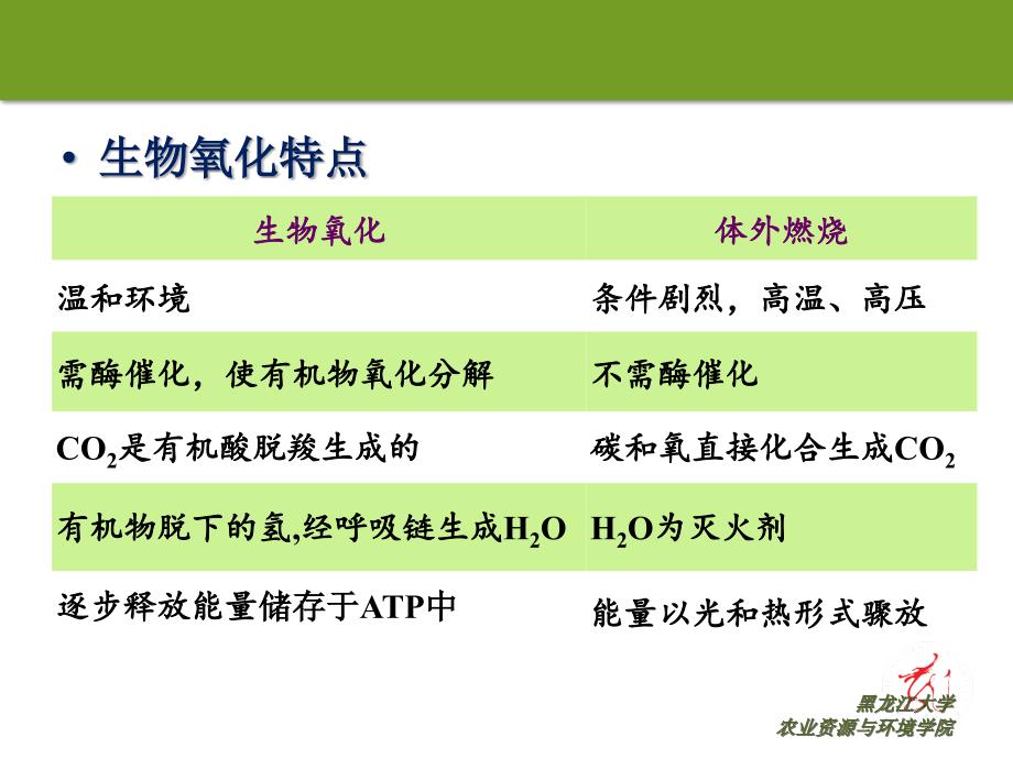生物学生物氧化与氧化磷酸化_第3页