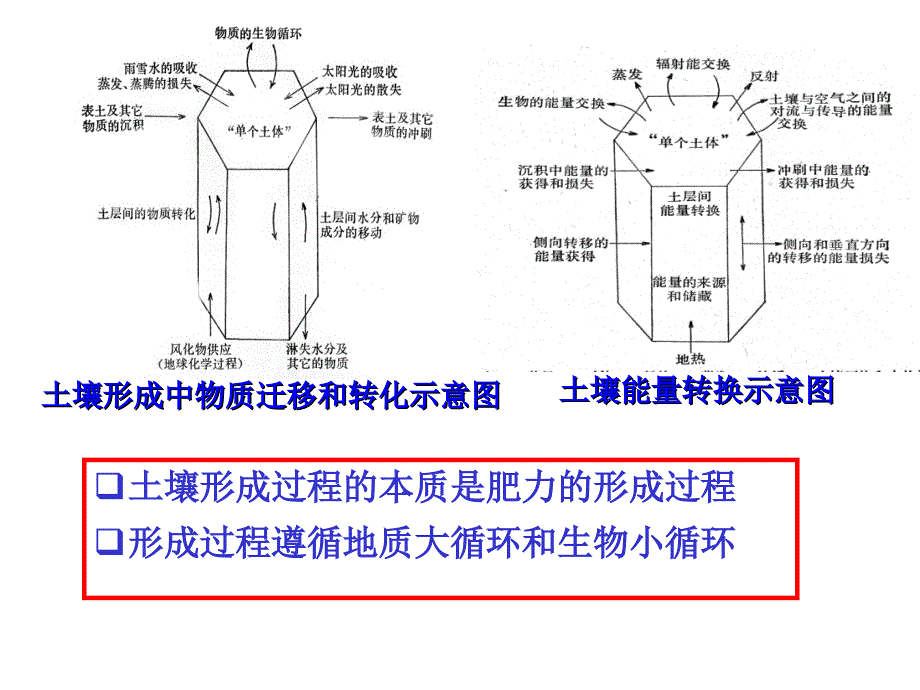 土壤学教学课件：第八章 土壤的形成、分类与分布_第3页