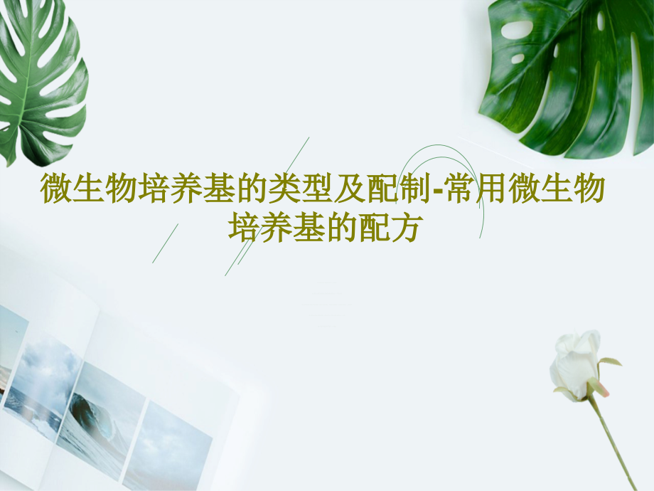 微生物培养基的类型及配制-常用微生物培养基的配方课件_第1页