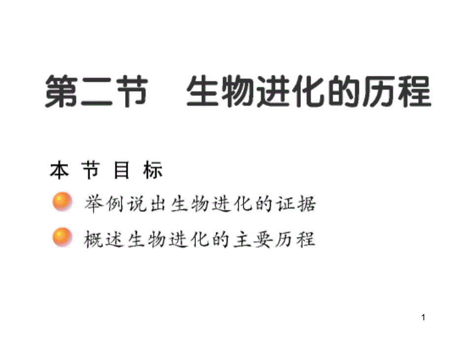 苏教版生物八上5162-生物进化历程-课件_第1页