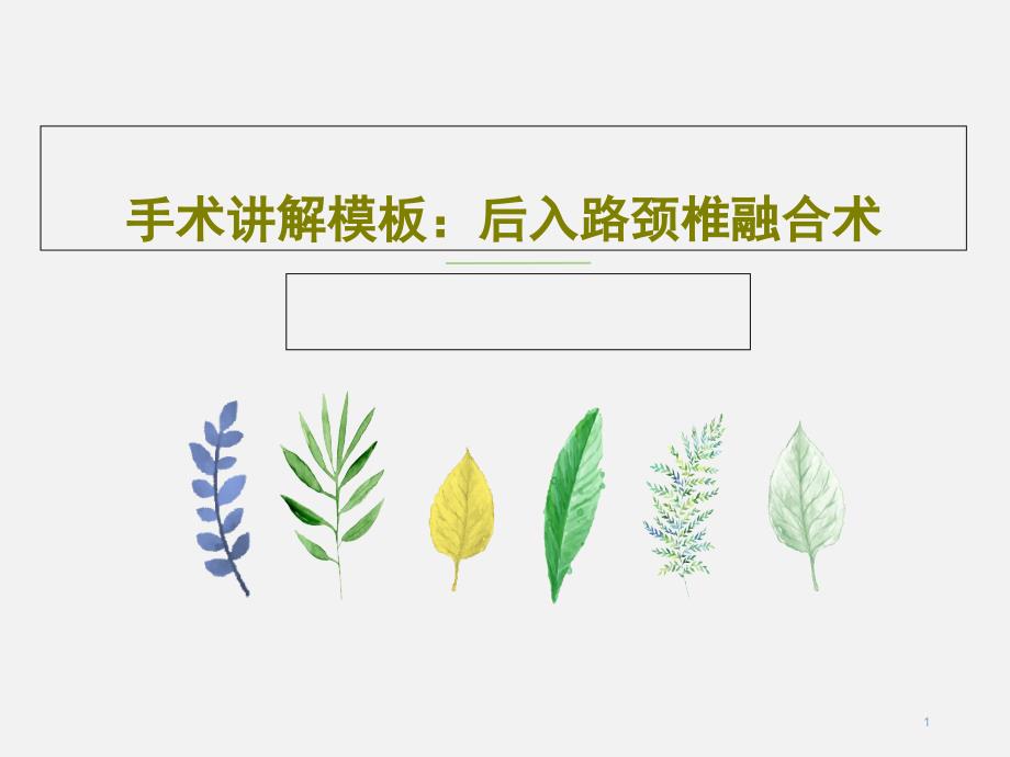 手术讲解模板后入路颈椎融合术课件_第1页