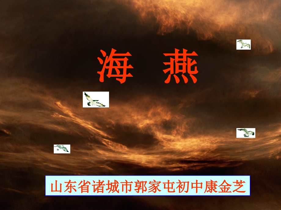 全国教育教学互联网应用优秀教育教学——《海燕》多媒体诸城郭家屯初中康金芝课件_第1页