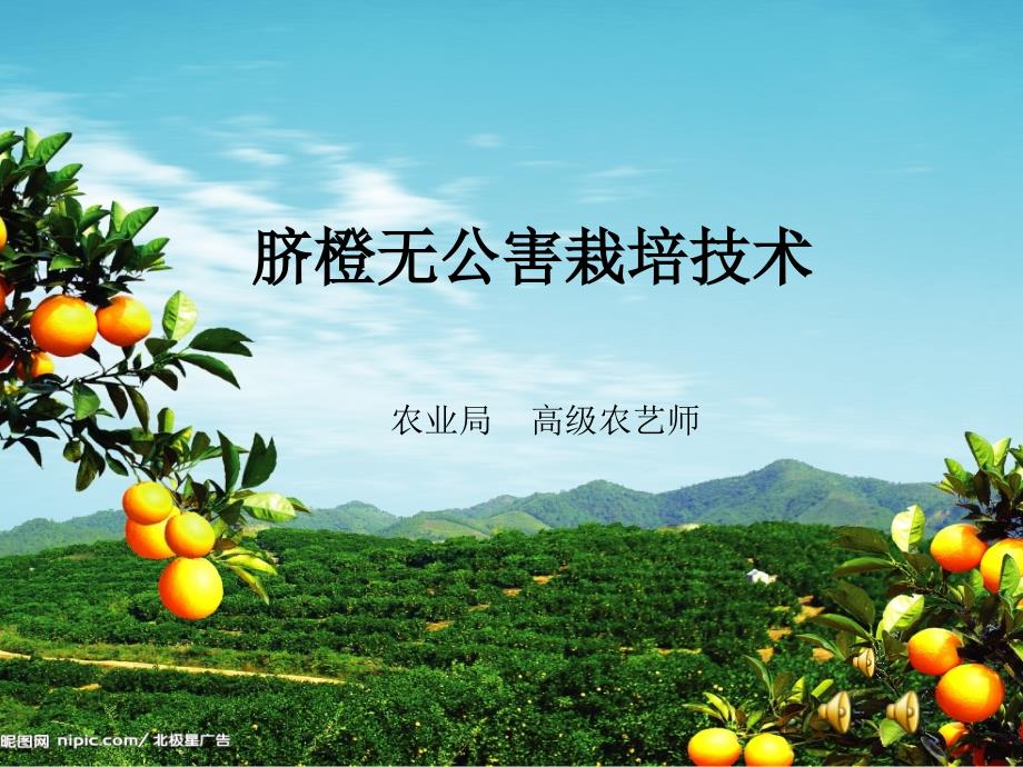 脐橙无公害栽培技术_第1页