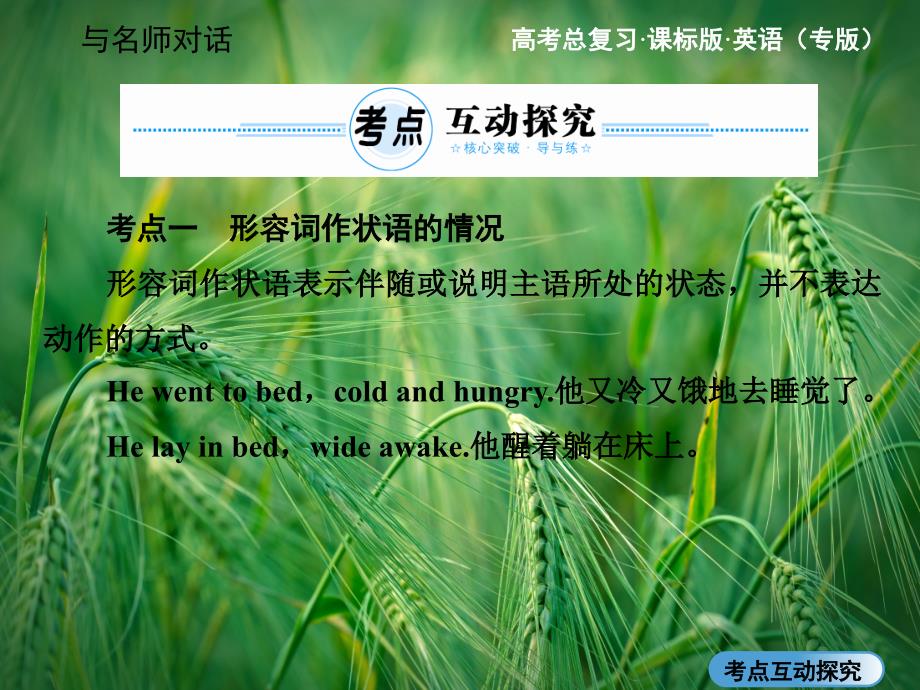 高三英语总复习语法专题(考点探究-变式应用)形容词和副词讲练ppt课件_第2页