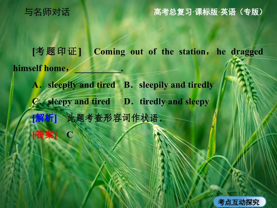 高三英语总复习语法专题(考点探究-变式应用)形容词和副词讲练ppt课件_第3页